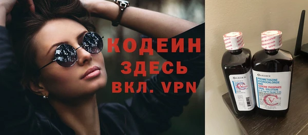 молекула духа Гусев