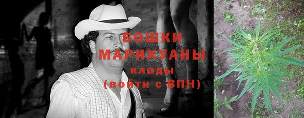 молекула духа Гусев
