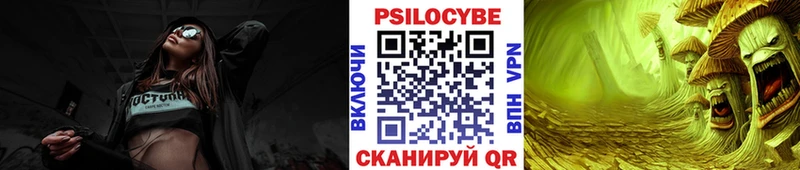 Купить  Кола  Псилоцибиновые грибы MAGIC MUSHROOMS 